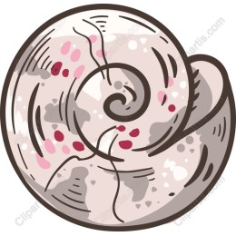 Whimsical Seashell