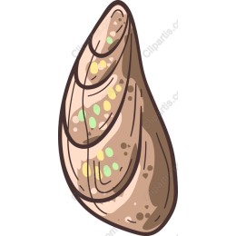 Stylized Seashell