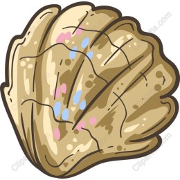 Charming Hand-Drawn Shell