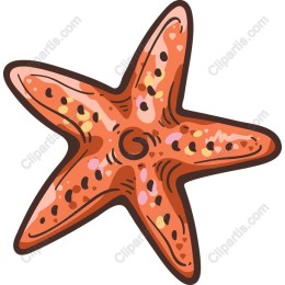 Starfish