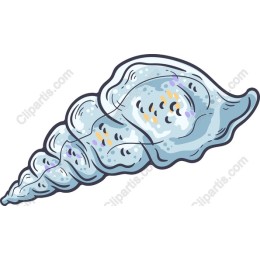 Seashell