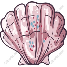 Coastal Charm Seashell