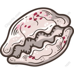 Whimsical Shell