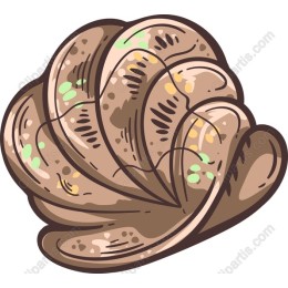 Seashell