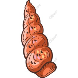 Vibrant Spiral Shell