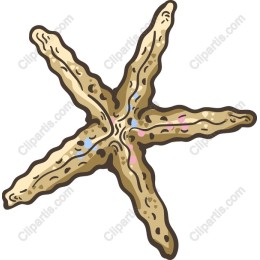 Coastal Charm Starfish