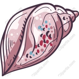 Seashell