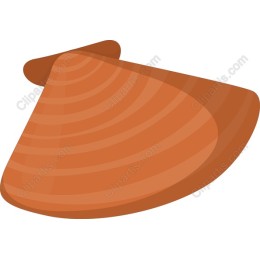 Curved Wooden Slice