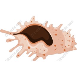 Coffee Bean Splash