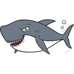 Cartoon Shark