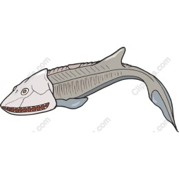 Prehistoric Fish