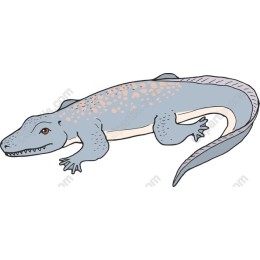 Merseyside Lizard