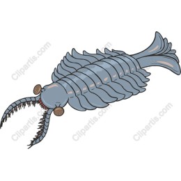 Prehistoric Sea Creature
