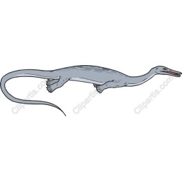 Marine Reptile