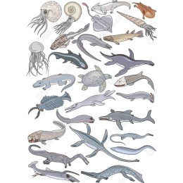 Marine Life Set