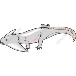 Prehistoric Amphibian