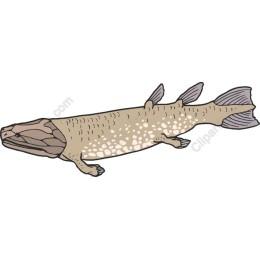 Tiktaalik Prehistoric Fish