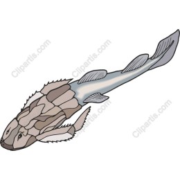 Stylized Fish