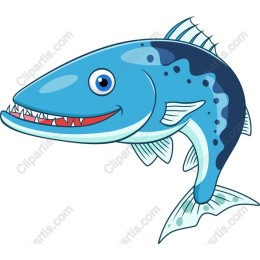 Cartoon Fish