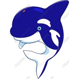 Vibrant Whale