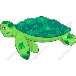 Charming Cartoon Turtle