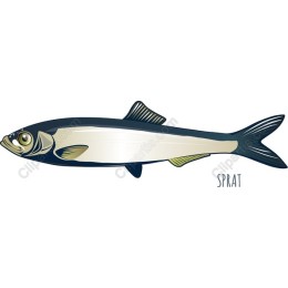 Sprat - High-Quality Seafood
