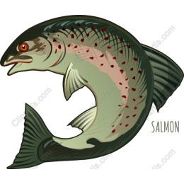 Salmon