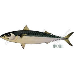 Mackerel