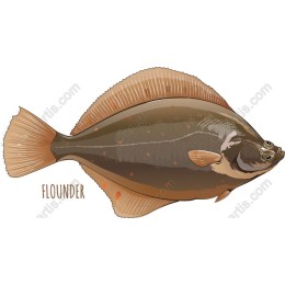 Flounder