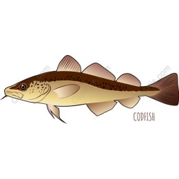 Codfish