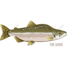 Pink Salmon