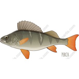 Perch in and