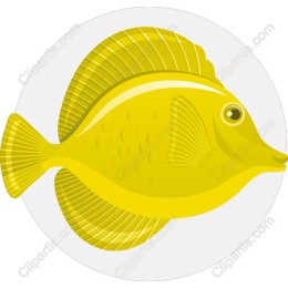 Vibrant Yellow Fish