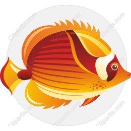 Vibrant Colorful Fish