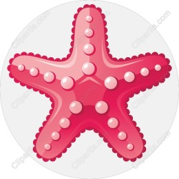 Vibrant Red Starfish