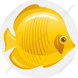 Vibrant Yellow Fish