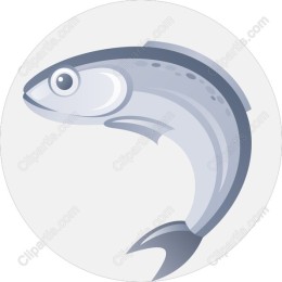Elegant Fish