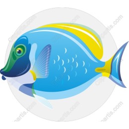 Vibrant Tropical Fish