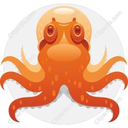Vibrant Orange Octopus