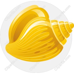Golden Seashell