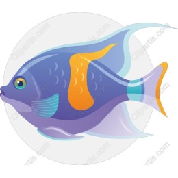Vibrant Underwater Fish