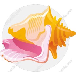 Vibrant Seashell