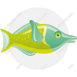 Stylized Fish