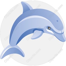Dolphin - Playful Blue Marine