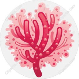 Vibrant Coral
