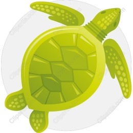 Vibrant Green Sea Turtle