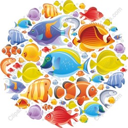 Colorful Marine Fish Collection