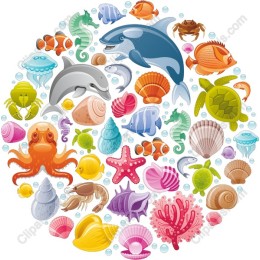 Vibrant Marine Life