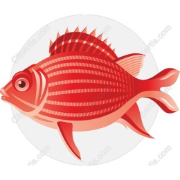 Vibrant Red Fish