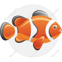 Vibrant Clownfish